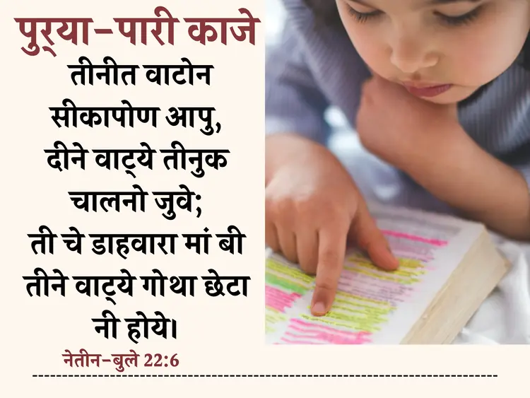 नेतीन बुले 22:6