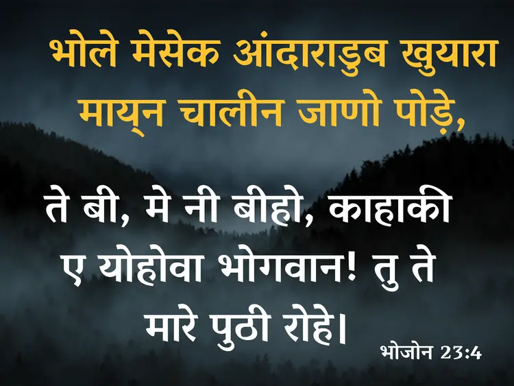 भोजोन 23:4